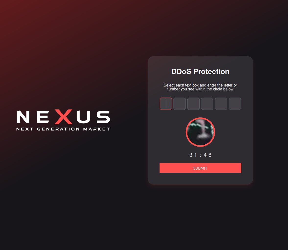 DDoS Protection System